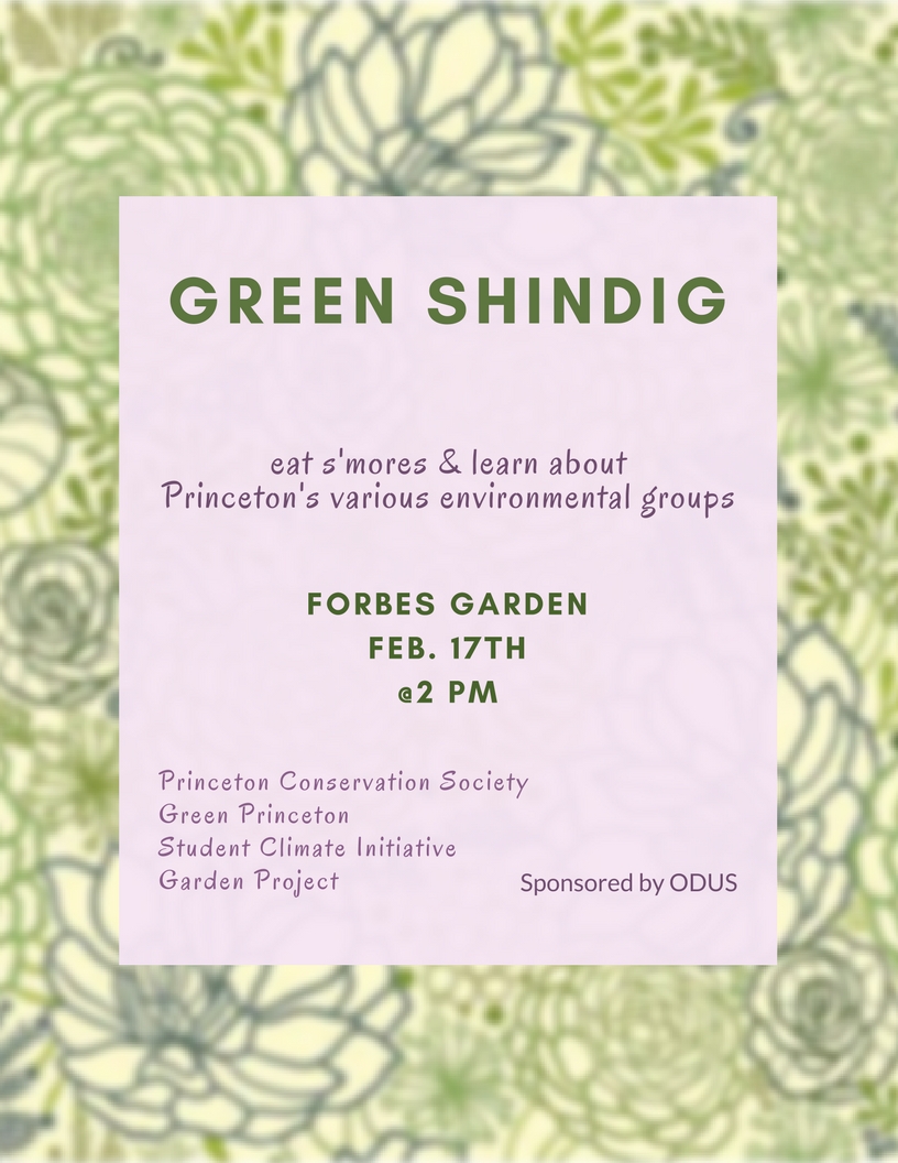 Green Shindig Conservation Society final